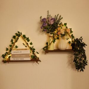 رف ديكور معلق بإضاءة نباتية